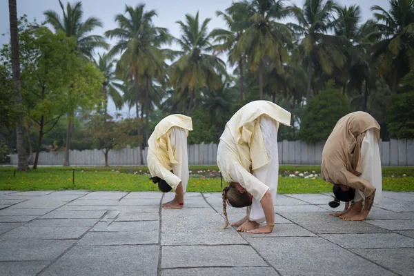 The Geometry of Asanas